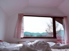 Proč investovat do kvalitních rolet a sítí proti hmyzu